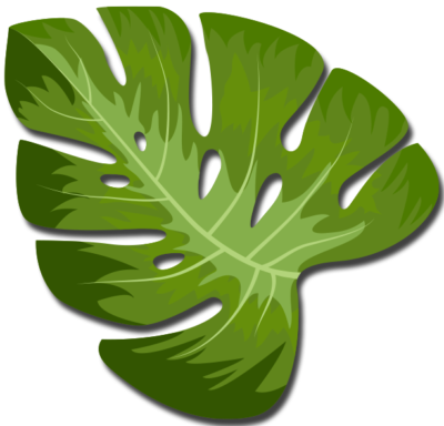 feuille1 feuille1